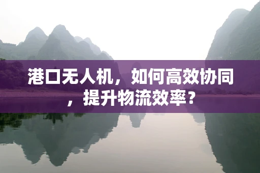 港口无人机，如何高效协同，提升物流效率？