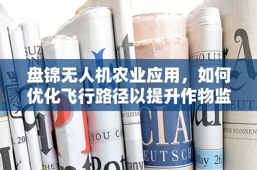 盘锦无人机农业应用，如何优化飞行路径以提升作物监测效率？
