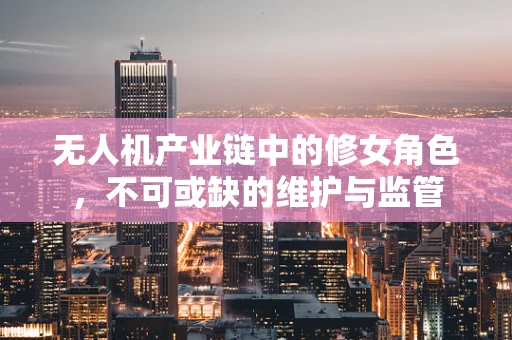 无人机产业链中的修女角色，不可或缺的维护与监管