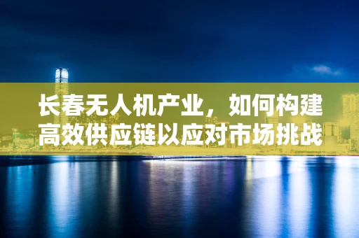 长春无人机产业，如何构建高效供应链以应对市场挑战？