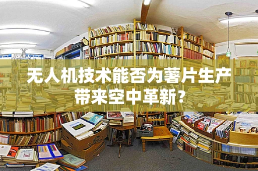无人机技术能否为薯片生产带来空中革新？