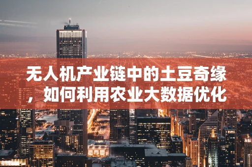 无人机产业链中的土豆奇缘，如何利用农业大数据优化飞行路径？