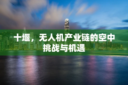 十堰，无人机产业链的空中挑战与机遇