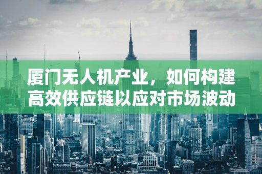 厦门无人机产业，如何构建高效供应链以应对市场波动？
