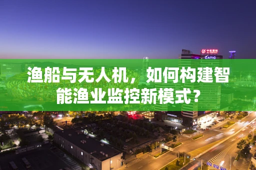 渔船与无人机，如何构建智能渔业监控新模式？