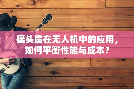 摇头扇在无人机中的应用，如何平衡性能与成本？