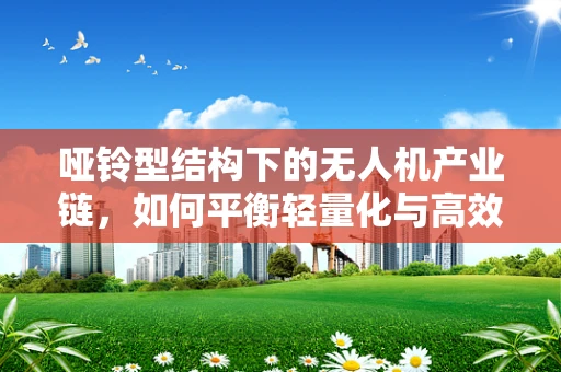哑铃型结构下的无人机产业链，如何平衡轻量化与高效性？
