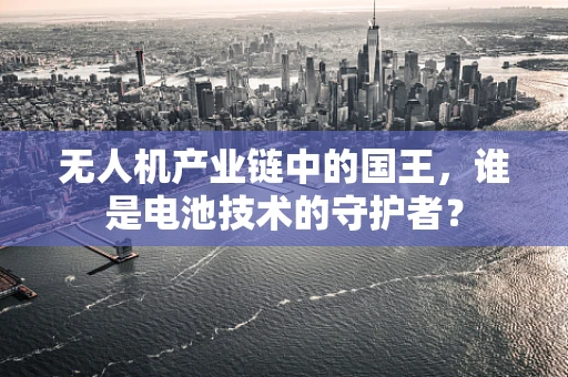 无人机产业链中的国王，谁是电池技术的守护者？
