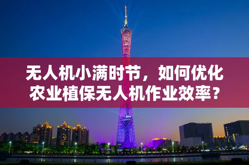 无人机小满时节，如何优化农业植保无人机作业效率？