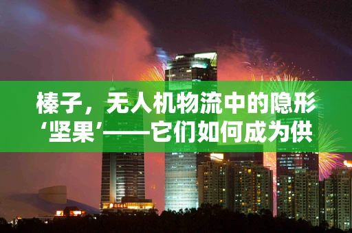 榛子，无人机物流中的隐形‘坚果’——它们如何成为供应链的稳定器？