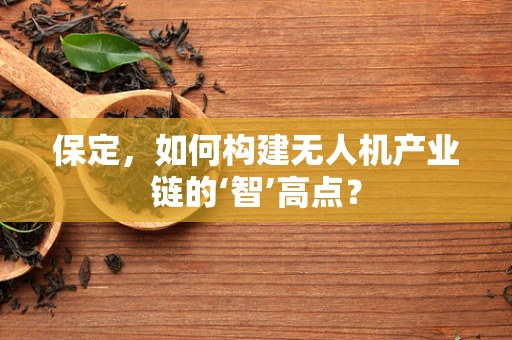 保定，如何构建无人机产业链的‘智’高点？