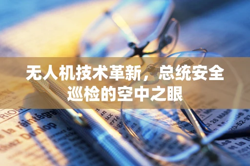 无人机技术革新，总统安全巡检的空中之眼