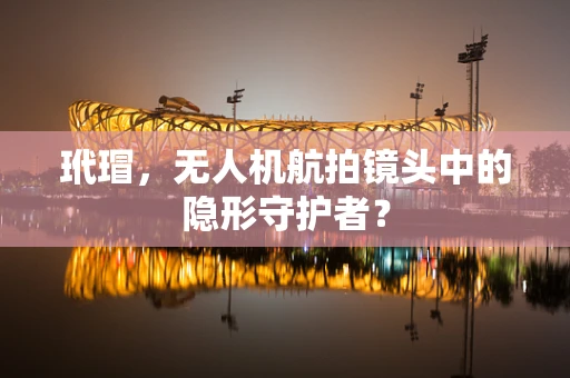 玳瑁，无人机航拍镜头中的隐形守护者？