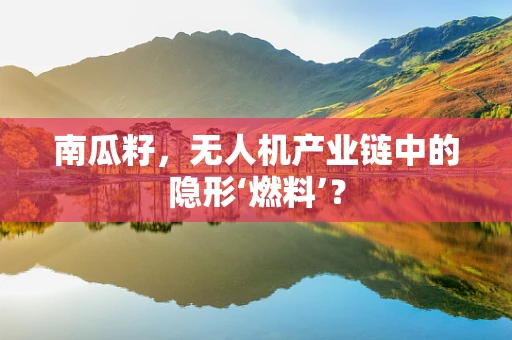 南瓜籽，无人机产业链中的隐形‘燃料’？