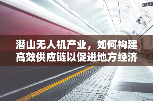 潜山无人机产业，如何构建高效供应链以促进地方经济发展？