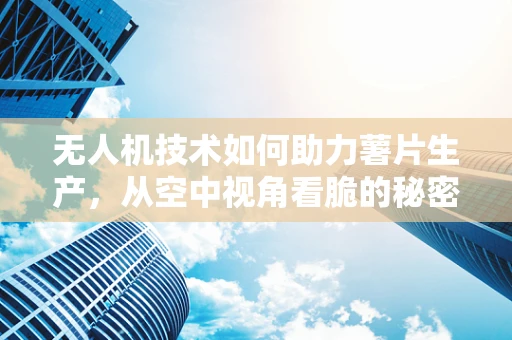 无人机技术如何助力薯片生产，从空中视角看脆的秘密