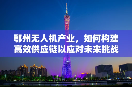 鄂州无人机产业，如何构建高效供应链以应对未来挑战？