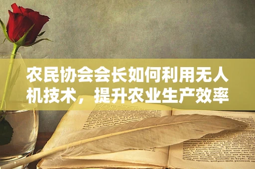 农民协会会长如何利用无人机技术，提升农业生产效率？