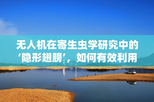 无人机在寄生虫学研究中的‘隐形翅膀’，如何有效利用以提升监测效率？
