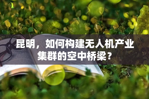 昆明，如何构建无人机产业集群的空中桥梁？