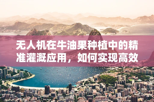 无人机在牛油果种植中的精准灌溉应用，如何实现高效节水与增产？
