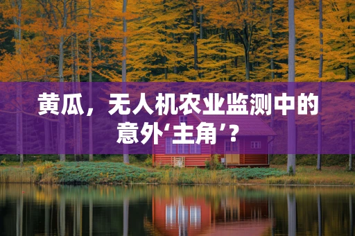 黄瓜，无人机农业监测中的意外‘主角’？
