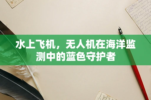 水上飞机，无人机在海洋监测中的蓝色守护者