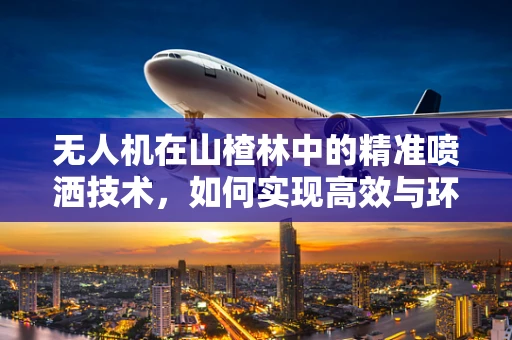 无人机在山楂林中的精准喷洒技术，如何实现高效与环保的平衡？