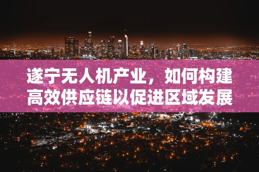 遂宁无人机产业，如何构建高效供应链以促进区域发展？