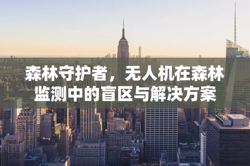 森林守护者，无人机在森林监测中的盲区与解决方案