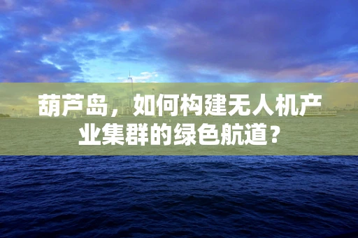 葫芦岛，如何构建无人机产业集群的绿色航道？