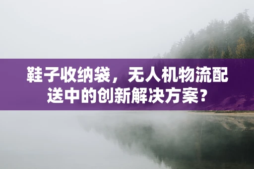 鞋子收纳袋，无人机物流配送中的创新解决方案？