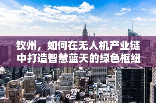 钦州，如何在无人机产业链中打造智慧蓝天的绿色枢纽？
