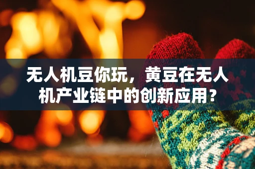 无人机豆你玩，黄豆在无人机产业链中的创新应用？