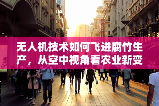 无人机技术如何飞进腐竹生产，从空中视角看农业新变革