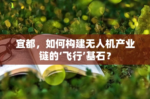 宜都，如何构建无人机产业链的‘飞行’基石？
