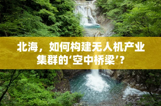 北海，如何构建无人机产业集群的‘空中桥梁’？