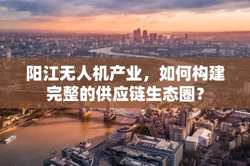 阳江无人机产业，如何构建完整的供应链生态圈？