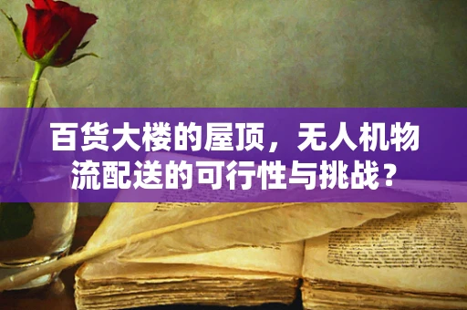 百货大楼的屋顶，无人机物流配送的可行性与挑战？