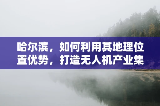 哈尔滨，如何利用其地理位置优势，打造无人机产业集群的新高地？