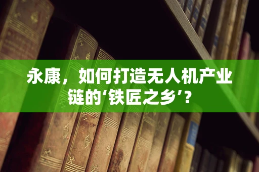 永康，如何打造无人机产业链的‘铁匠之乡’？