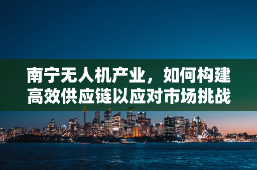 南宁无人机产业，如何构建高效供应链以应对市场挑战？
