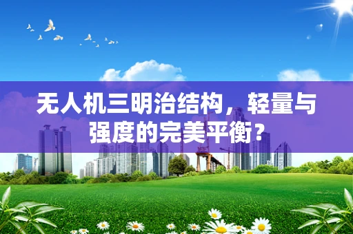无人机三明治结构，轻量与强度的完美平衡？