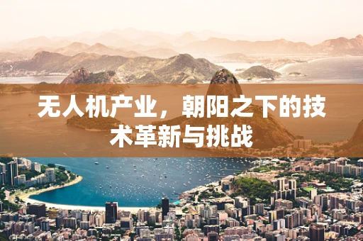 无人机产业，朝阳之下的技术革新与挑战