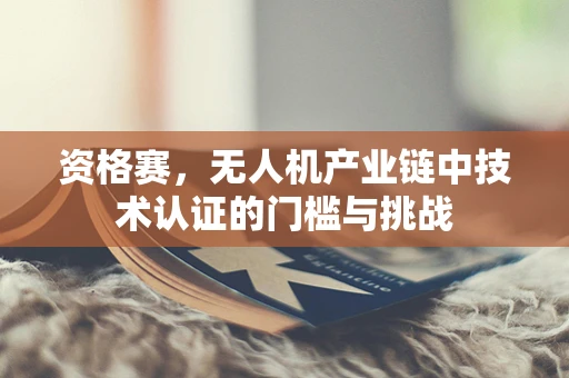 资格赛，无人机产业链中技术认证的门槛与挑战