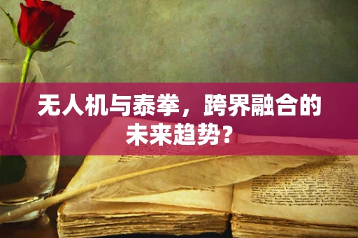 无人机与泰拳，跨界融合的未来趋势？