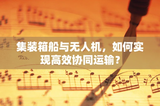 集装箱船与无人机，如何实现高效协同运输？