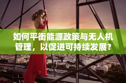 如何平衡能源政策与无人机管理，以促进可持续发展？