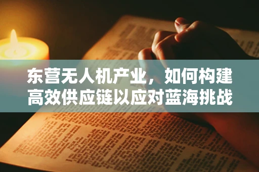 东营无人机产业，如何构建高效供应链以应对蓝海挑战？
