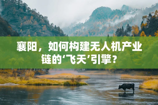 襄阳，如何构建无人机产业链的‘飞天’引擎？